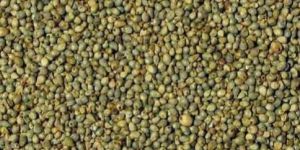 Green Millet