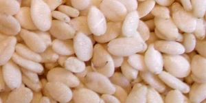 Sesame Seeds