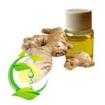 Ginger Oil