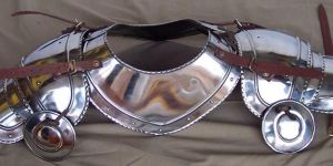 Metal Neck Plate