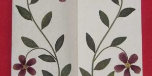 Flower Greeting Cards