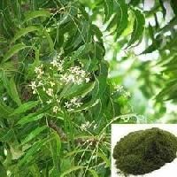 Neem Extract