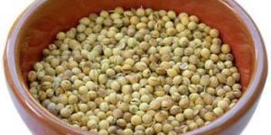 Coriander Seeds