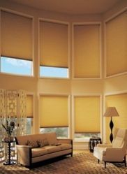 Honeycomb Blinds