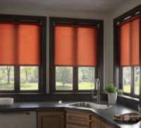 Lutron Shading System