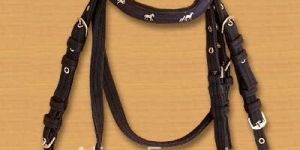Horse Bridle