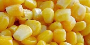Frozen Sweet Corn