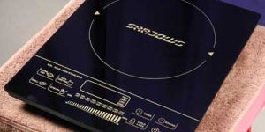 Induction Cookers-05