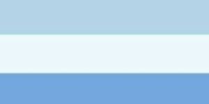 Hand Tufted Woolen Carpet (HT-1003)