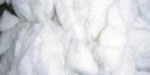 Raw Cotton