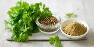 Coriander Seeds & Powder