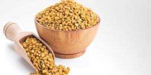 Fenugreek