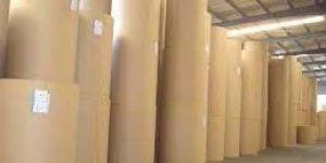 Kraft Paper Board