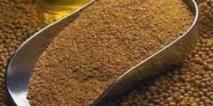 Soybean Meal