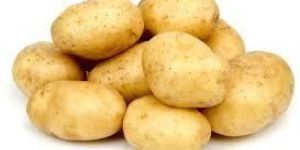 Fresh Potato