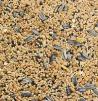 Bird Seed
