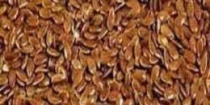Flax Seeds