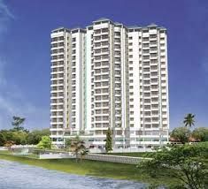 Real Estate Services