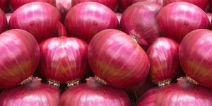 Onions