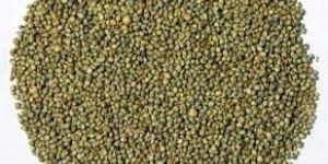 Millets