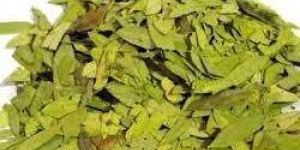 Senna Leaves
