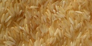 Non Basmati Rice