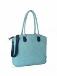 Baggit L Earthy Gland Hobo Bag Blue