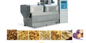 Twin Screw Extruder for Puff Snacks