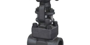 Forged Steel Globe Valve