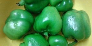 Fresh Capsicum