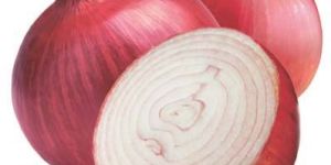 Fresh Red Onion