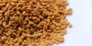 Fenugreek Seeds