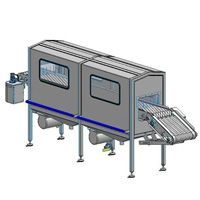 Fish Processing Machinery