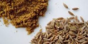 Cumin