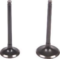 Exhaust Valve