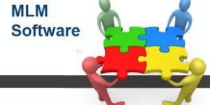 MLM Software