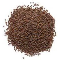 Brown Mustard Seeds