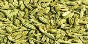Fennel Seeds