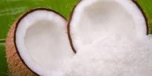 Dried Coconut Powder