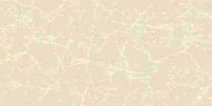 Double Charge Vitrified Tiles