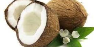 Fresh Coconut