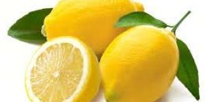 Fresh Lemon