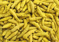Turmeric Powder / Finger