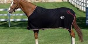 Horse Blankets