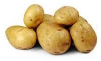 Fresh Potato