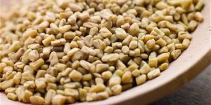 Fenugreek Seeds