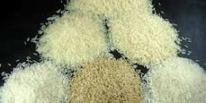 Rice (basmati-non Basmati)