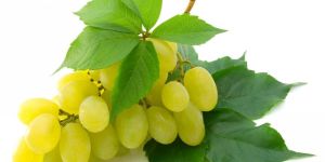 Fresh Green Grapes