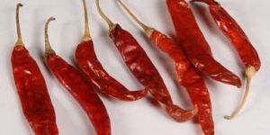 Sannam Dried Red Chilli