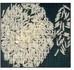 1010 Long Grain Non Basmati Rice